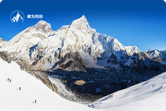 康为同创网站建设案例展示