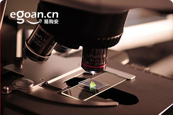 易购安网站建设案例展示