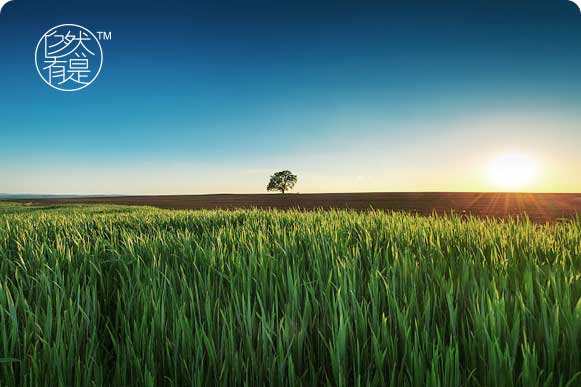 自然有是网站建设作品展示